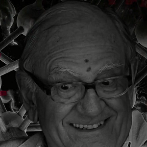 Bilder Tudo É Irrelevante, Hélio Jaguaribe