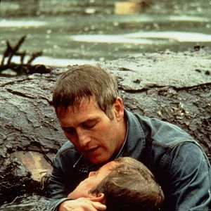 Bilder Sie möchten Giganten sein