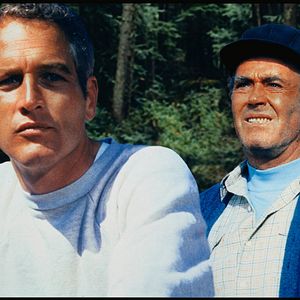 Bilder Sie möchten Giganten sein