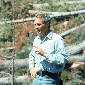 Bilder Sie möchten Giganten sein