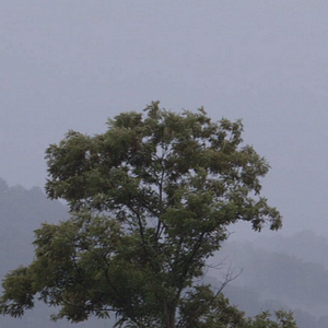 Bilder The Prison in Twelve Landscapes