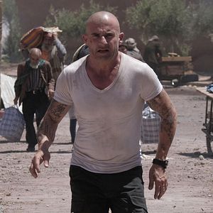 Bilder Dominic Purcell
