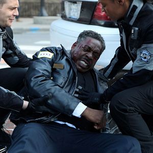 Bilder Tamberla Perry