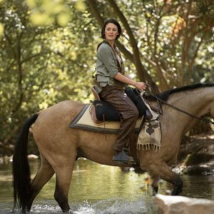 Bilder Lea van Acken