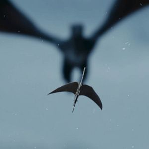 Bilder Dragon - Love Is a Scary Tale