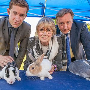 Bilder Inspector Barnaby