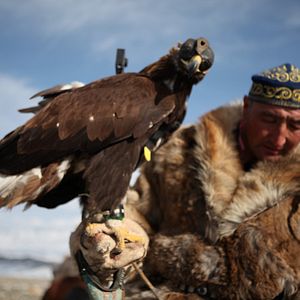 Bilder The Eagle Huntress