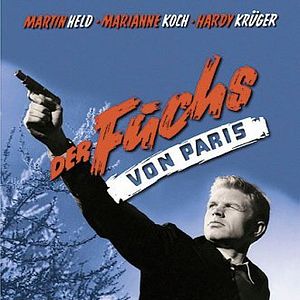 Bilder Der Fuchs von Paris