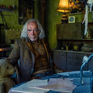 Bilder Peter Marinker