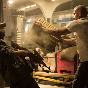 Bilder Dominic Purcell