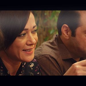 Bilder Ağustos Böcekleri ve Karıncalar