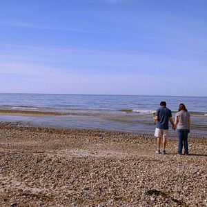 Bilder Life, Animated