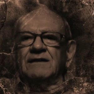 Bilder Tudo É Irrelevante, Hélio Jaguaribe