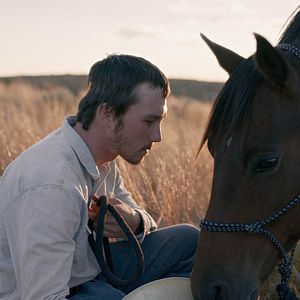 Bilder Brady Jandreau