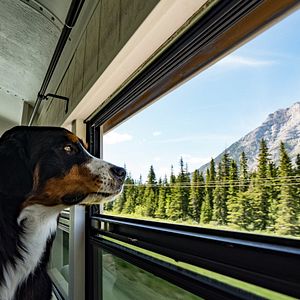 Bilder Expedition Happiness