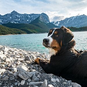 Bilder Expedition Happiness