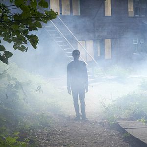 Bilder It Comes At Night