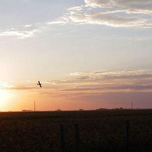 Bilder Histoires de la plaine