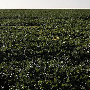 Bilder Histoires de la plaine