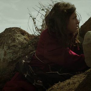 Bilder Celle qui vivra