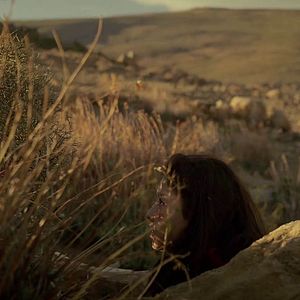 Bilder Celle qui vivra