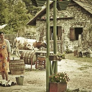 Bilder Monica Bellucci