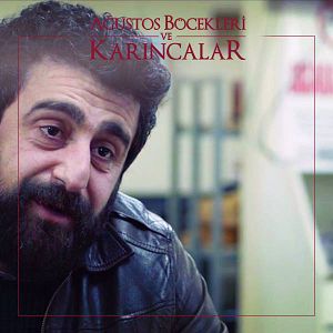 Bilder Ağustos Böcekleri ve Karıncalar