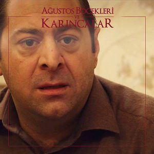 Bilder Ağustos Böcekleri ve Karıncalar