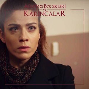 Bilder Ağustos Böcekleri ve Karıncalar