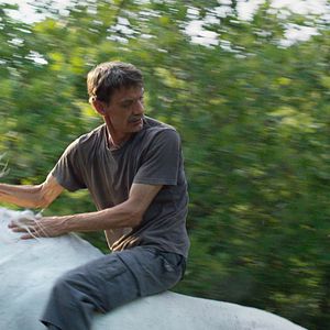 Bilder Meinhard Neumann