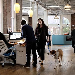 Bilder Allison Tolman