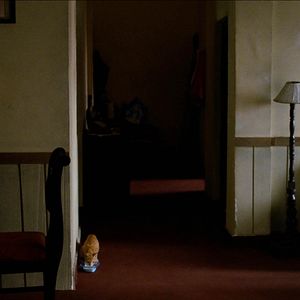 Bilder Afternoon Clouds