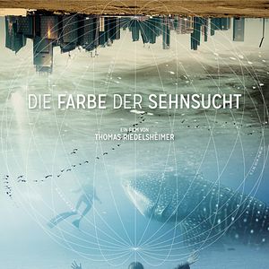 Bilder Die Farbe der Sehnsucht