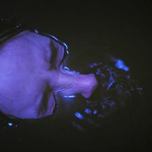 Bilder Dead Awake - Wenn du einschläfst bist du tot