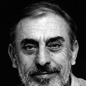 Bilder Miguel Arribas