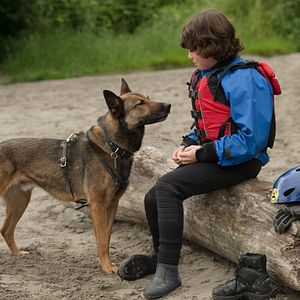 Bilder Max - Agent auf vier Pfoten