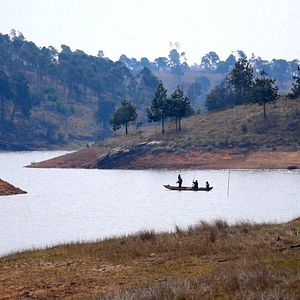 Bilder Songs for Madagascar