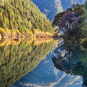 Bilder Born In China