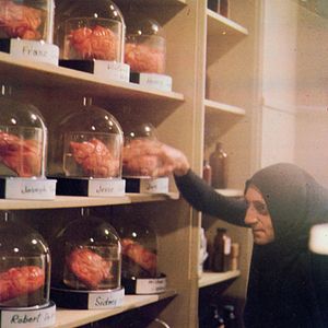 Bilder Frankenstein Junior