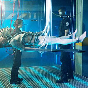 Bilder Thomas Dominique