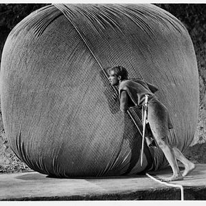 Bilder Grant Williams