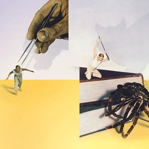 Bilder Grant Williams