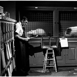 Bilder Leo G. Carroll