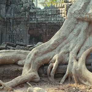 Bilder Agathe Bonitzer