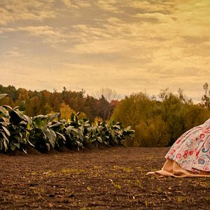 Bilder Emily Browning