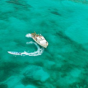 Bilder 47 Meters Down