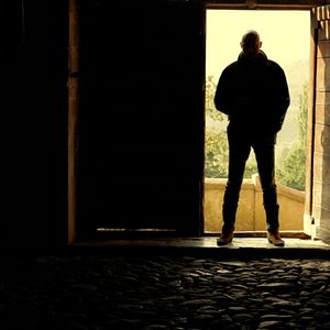 Bilder Mi vida entre las hormigas