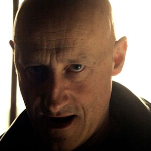 Bilder Mi vida entre las hormigas