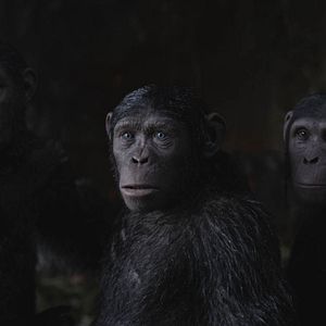 Bilder Planet der Affen 3: Survival