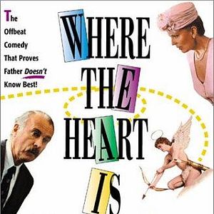 Bilder Die Zeit der bunten Vögel